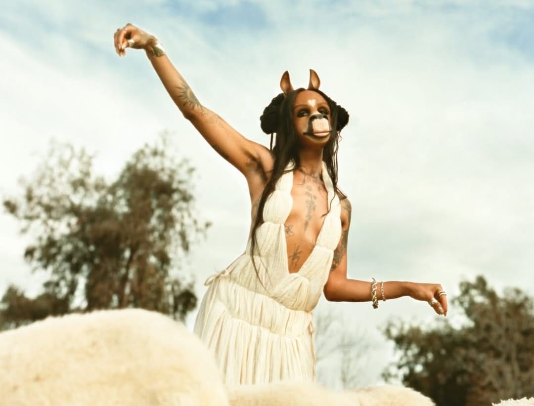 horsegiirL announces debut album 'NATURE IS HEALING', shares new single