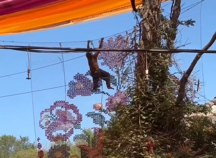 Ozora Festival ends early after death of two attendees