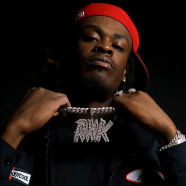 RXKNephew got banned from DistroKid