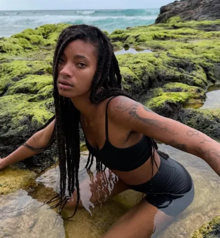 New Willow album releasing February 17th