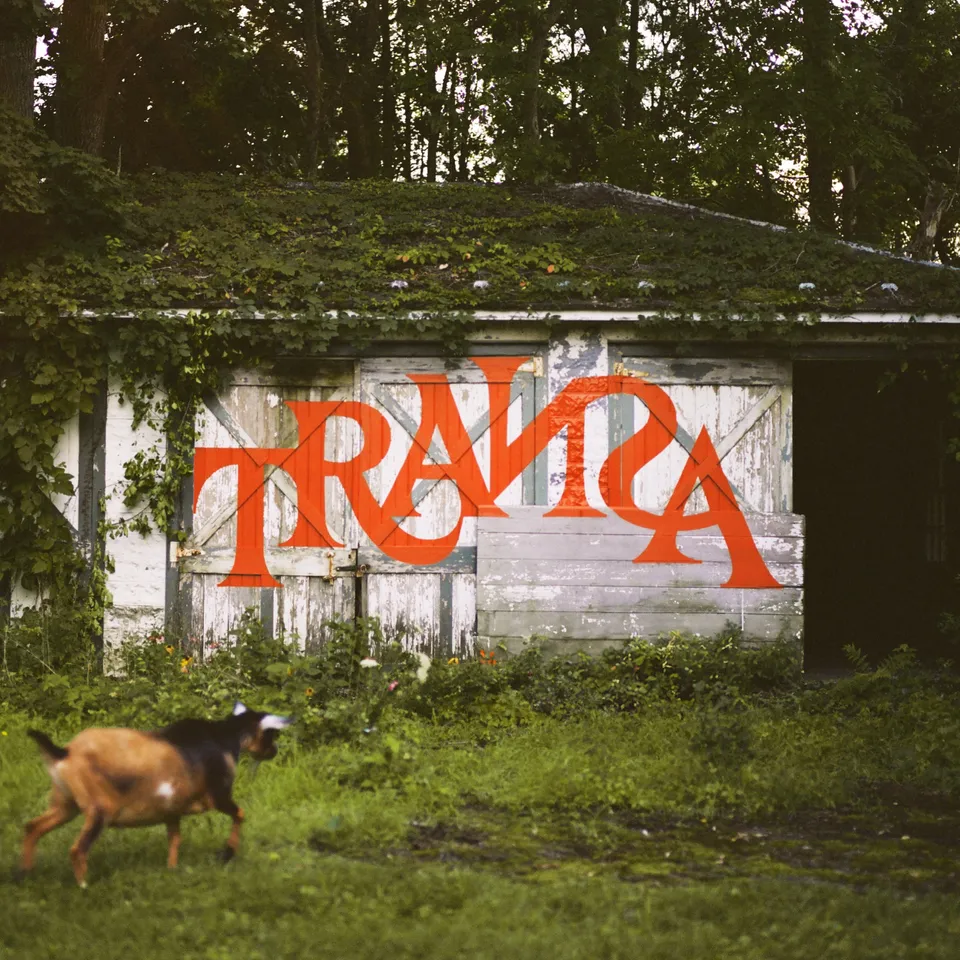 transa-the-needle-drop
